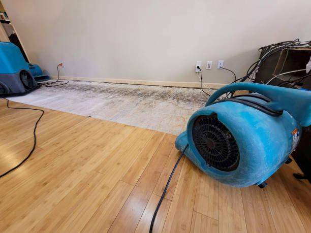 Professional Structural Drying technician working in Highland Park, NJ